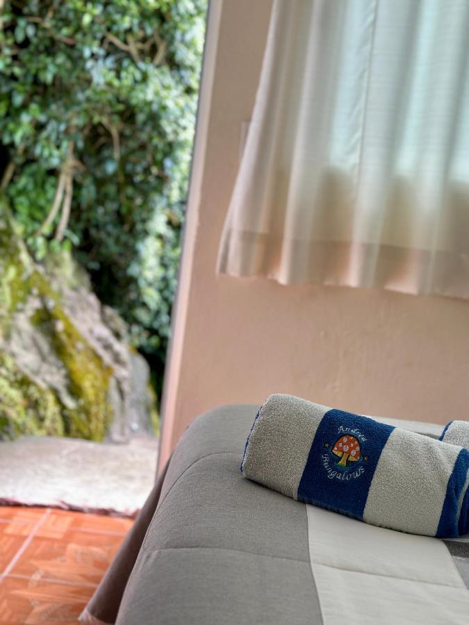 Bungalows Andrea Tepoztlán Eksteriør billede